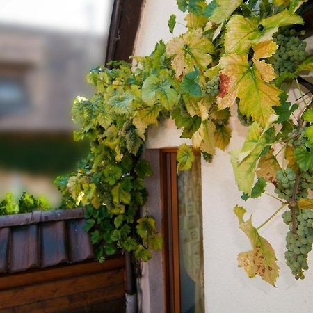 Weingut Landmann Ferienwohnungen Freiburg im Breisgau Exterior foto