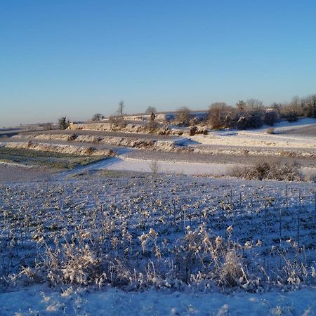 Weingut Landmann Ferienwohnungen Freiburg im Breisgau Exterior foto