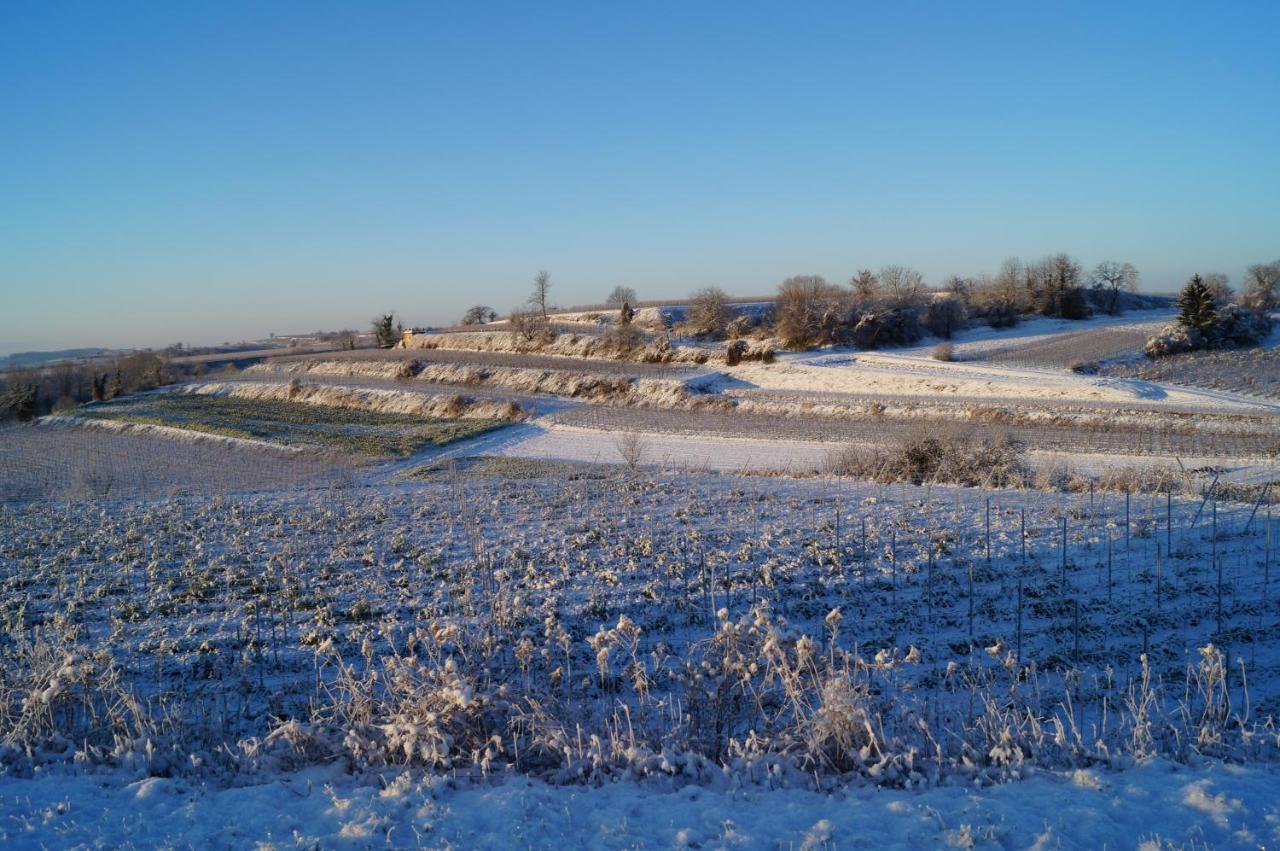 Weingut Landmann Ferienwohnungen Freiburg im Breisgau Exterior foto