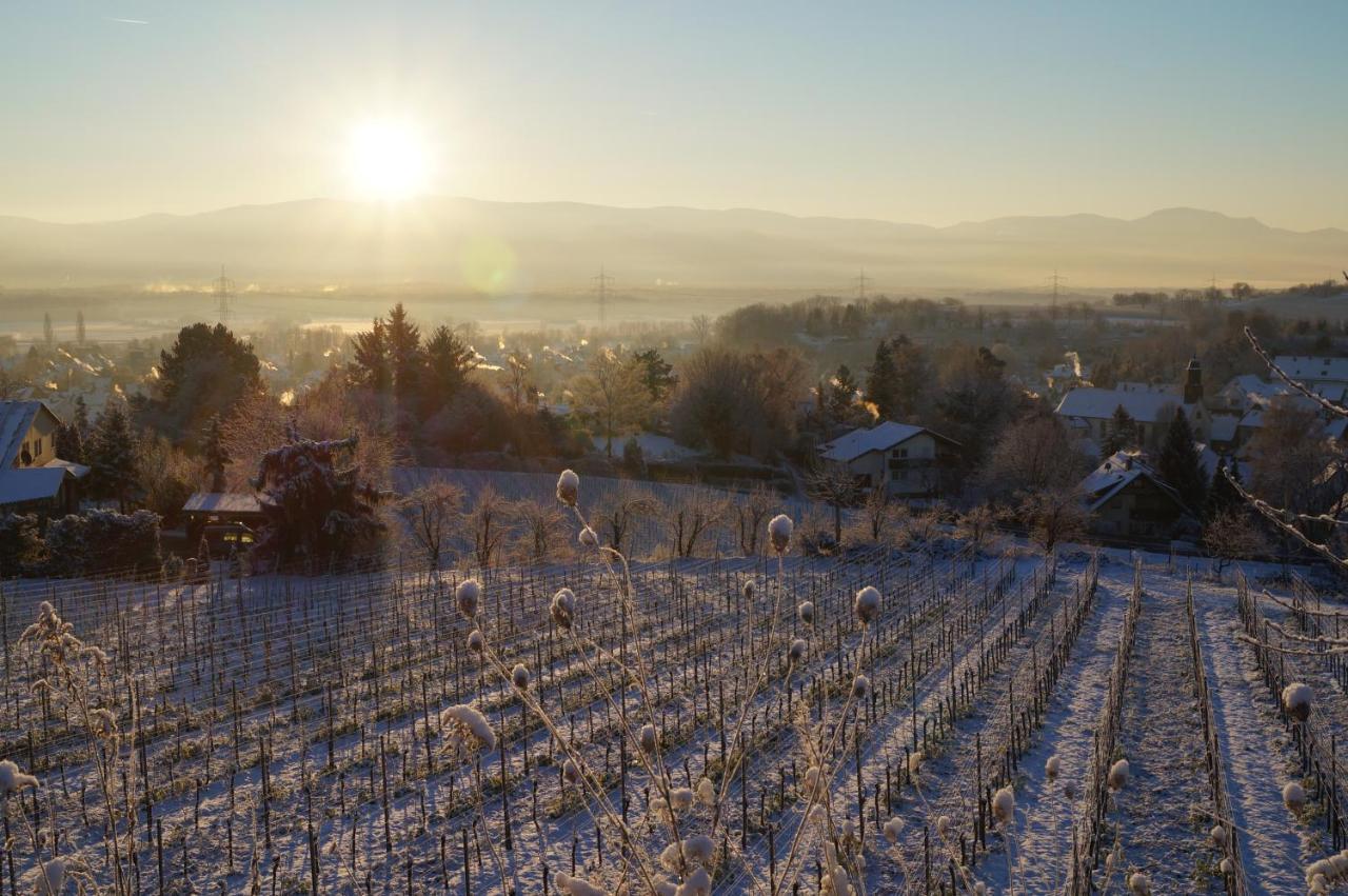 Weingut Landmann Ferienwohnungen Freiburg im Breisgau Exterior foto